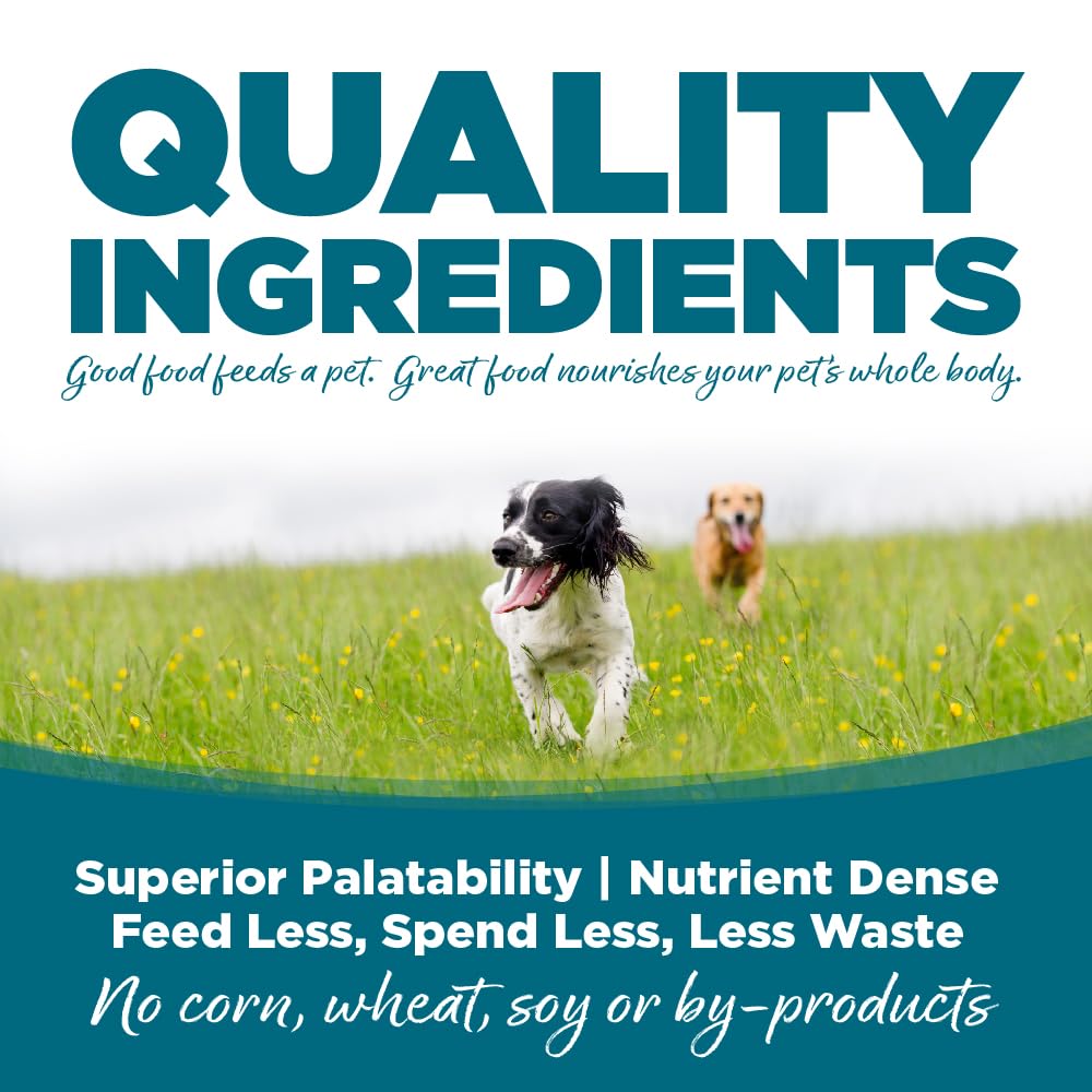 NutriSource bouillon Come-Pooch-A – soutient digestif et saveur appetissante