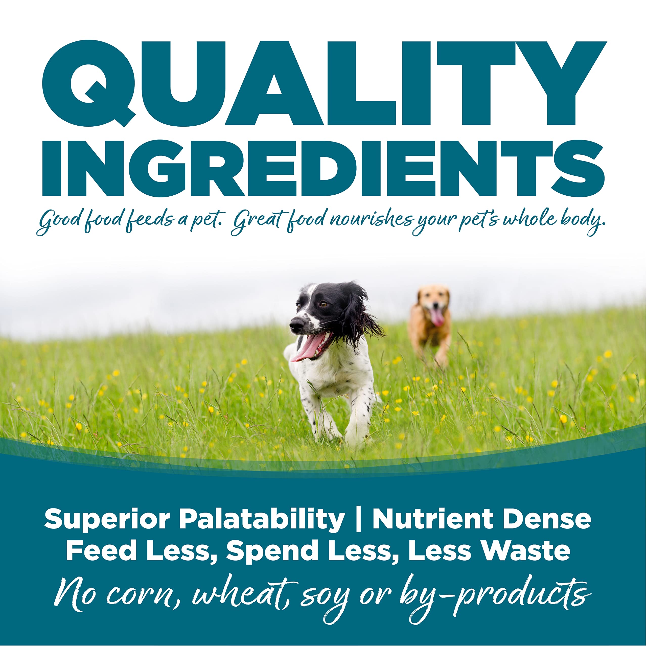 NutriSource Chien Adulte close-up croquettes, texture appétissante.