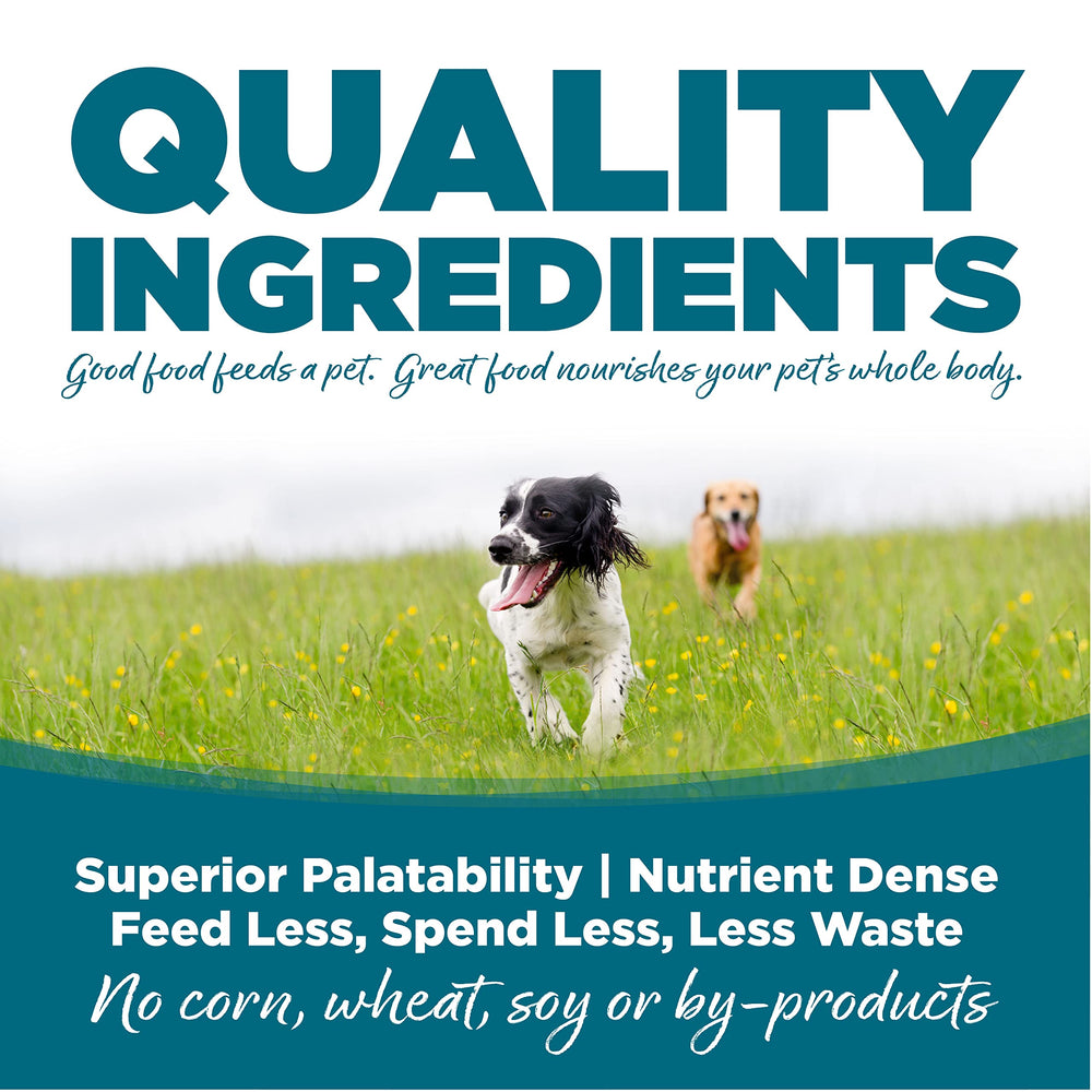 NutriSource Chien Adulte close-up croquettes, texture appétissante.