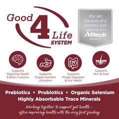 NutriSource-emballage-boeuf-riz, informations nutritionnelles claires visibles.