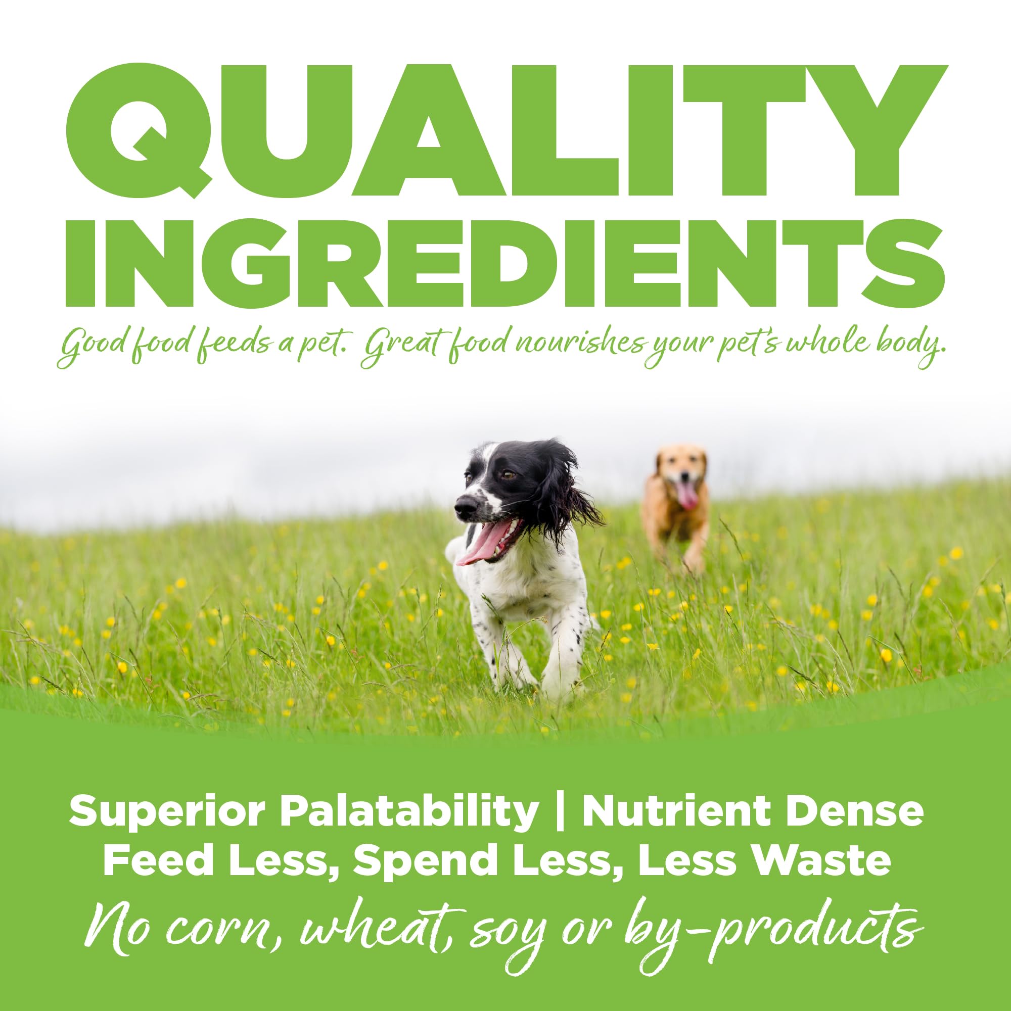 NutriSource oméga-3 et oméga-6: équilibre pour peau et pelage.
