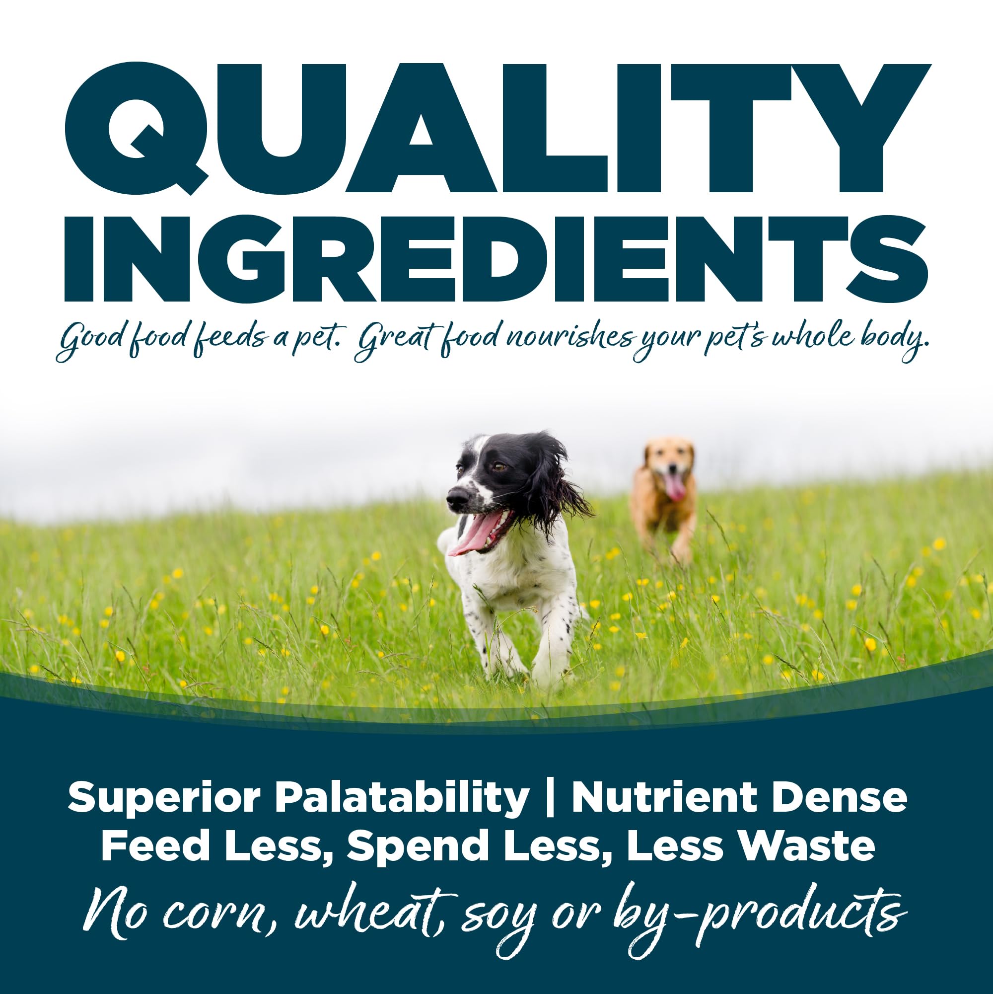 NutriSource Oméga-3 et Oméga-6 – nutriments pour peau et pelage sains.