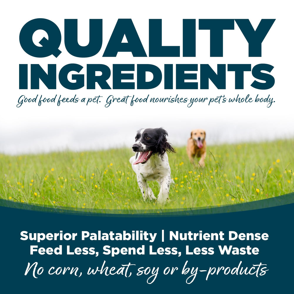 NutriSource Oméga-3 et Oméga-6 – nutriments pour peau et pelage sains.