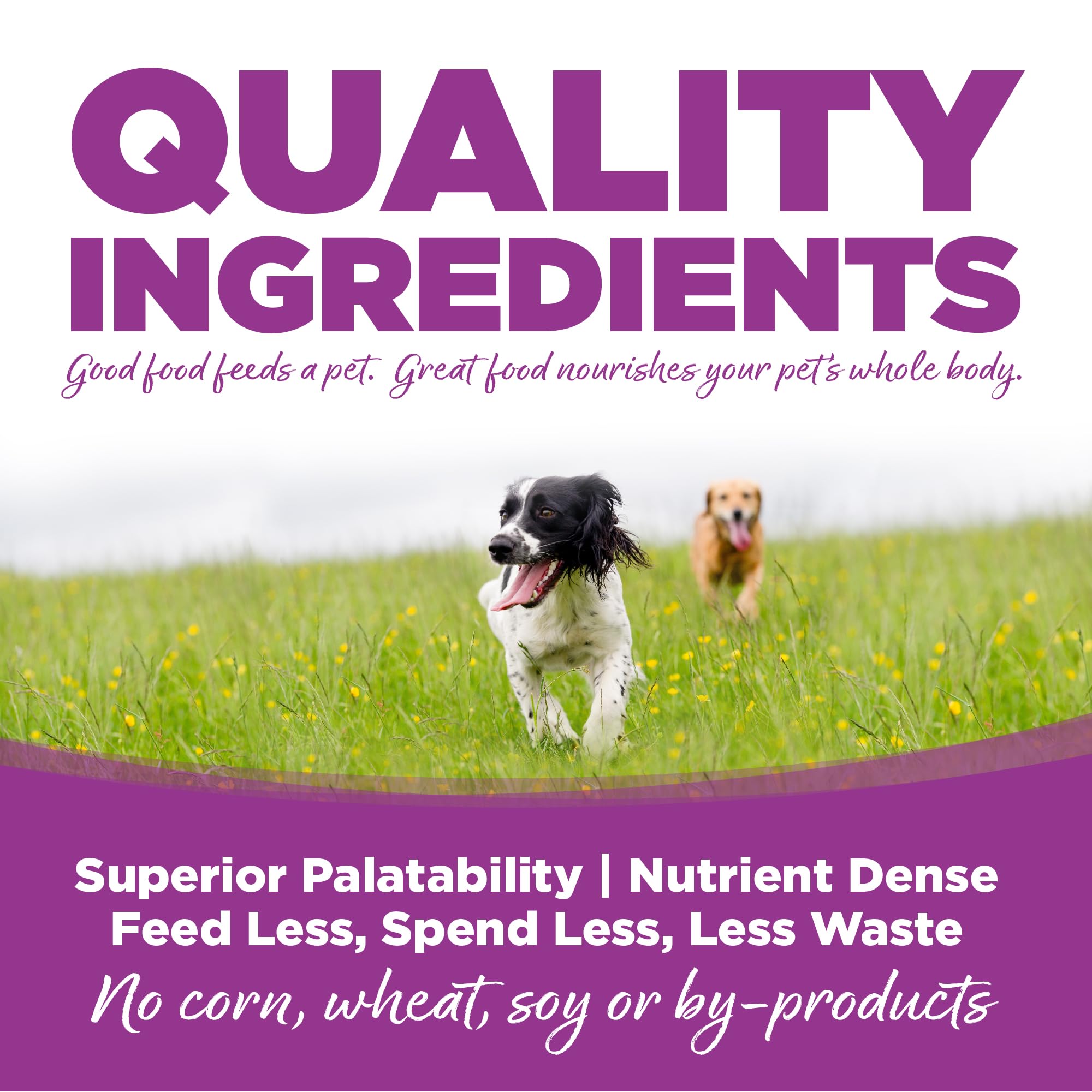 NutriSource omega3-omega6 et carnitine pour peau et énergie.