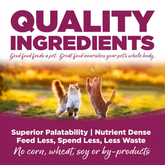 Prébiotiques et probiotiques NutriSource, soutien digestion et absorption des nutriments.