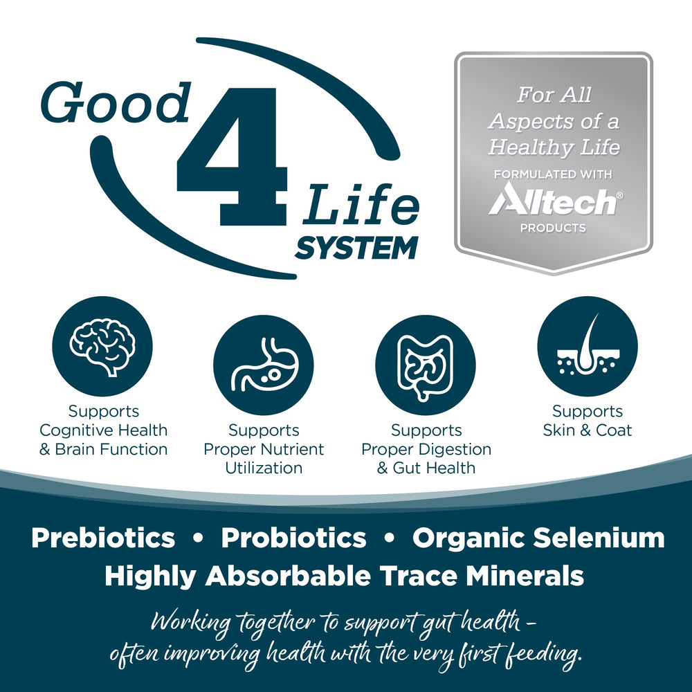 NutriSource Prébiotiques et Probiotiques – soutien digestif potentiel.