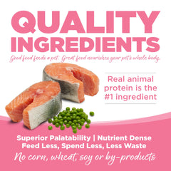 Chien dégustant NutriSource Pure Vita, bol-repas sans céréales.