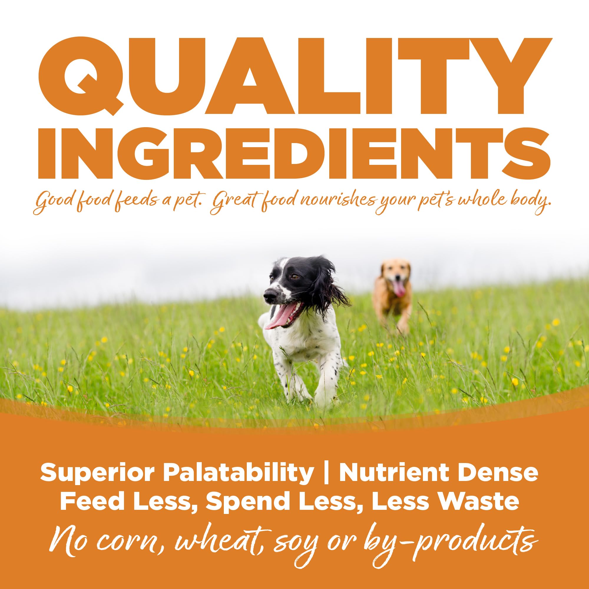 NutriSource inclut L-Carnitine et Taurine pour énergie et vitalité.