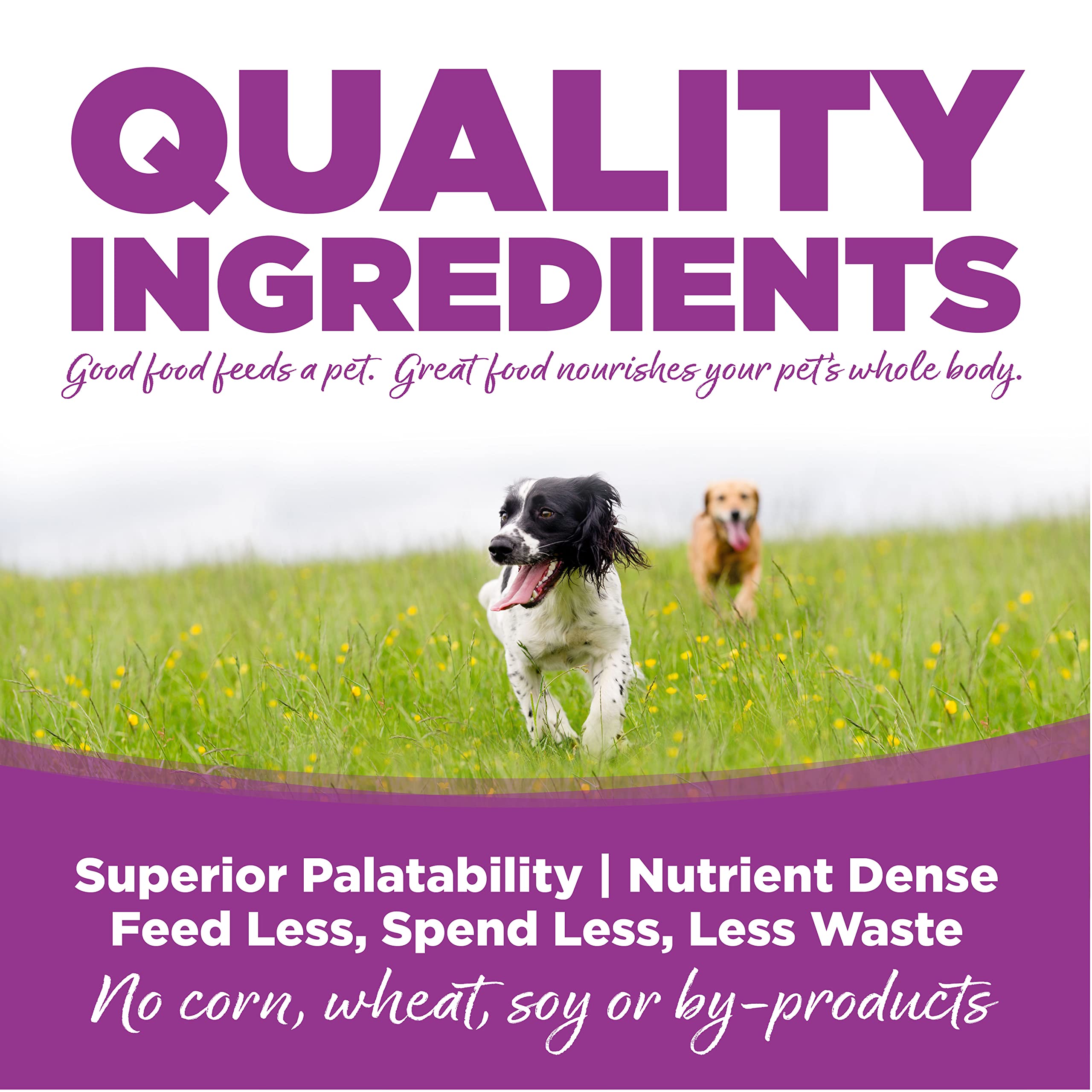 Sac NutriSource ouvert montrant le dosage pour poulet et riz.