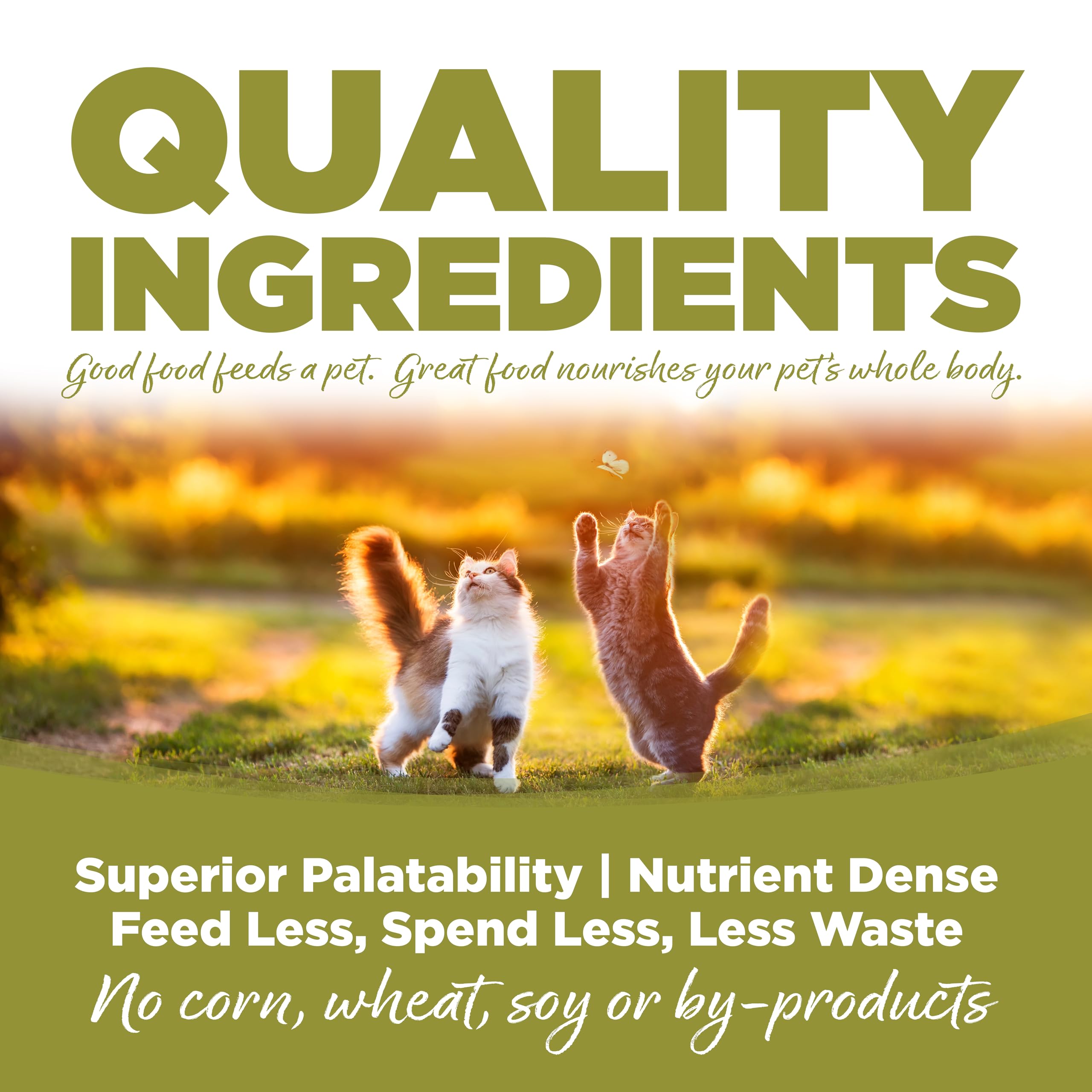 NutriSource Senior Chat – rotation facile avec d'autres régimes NutriSource