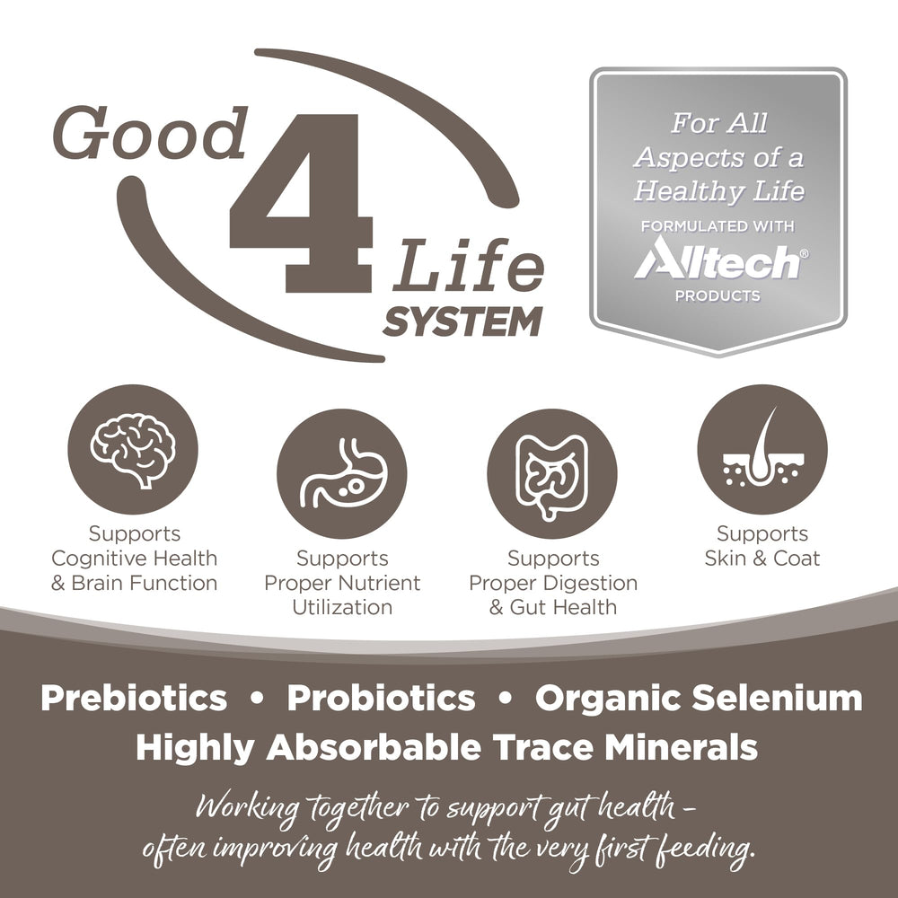 NutriSource Senior pro biotiques et prébiotiques pour une flore intestinale équilibrée.