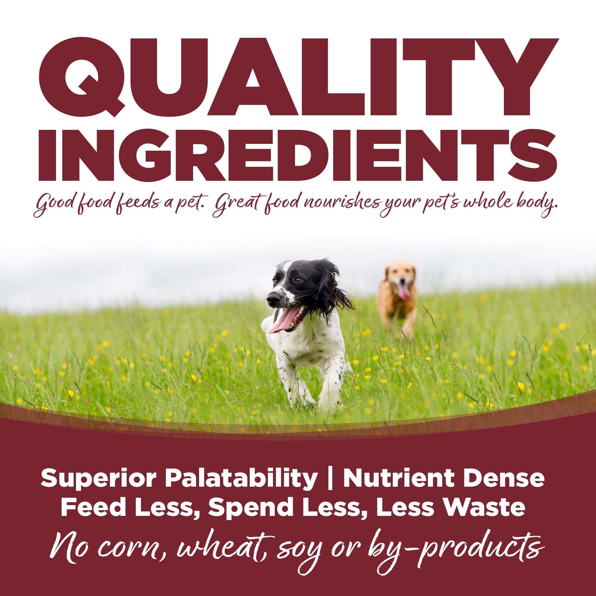 NutriSource Taurine et L-Carnitine: soutien cardio chien