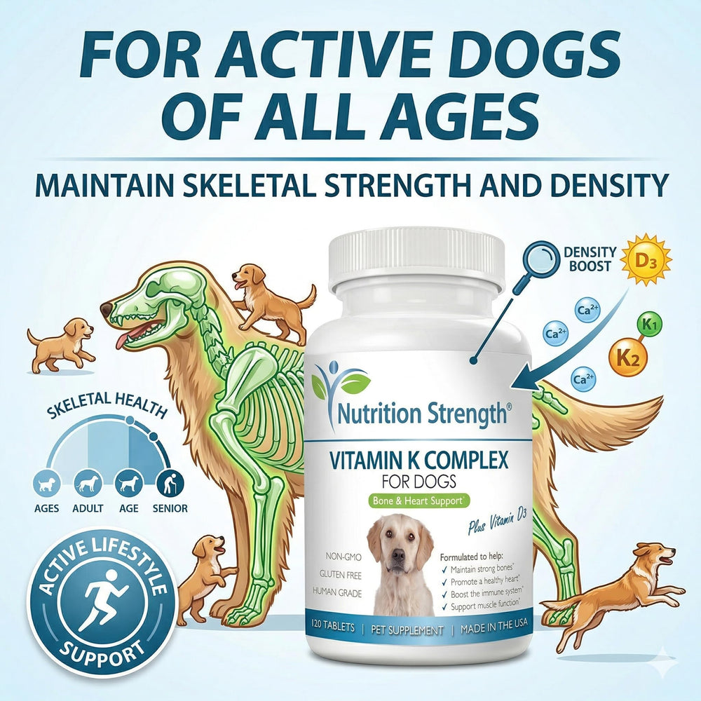 Nutrition Strength Absorption calcium pour chien – diriger le calcium vers les os.