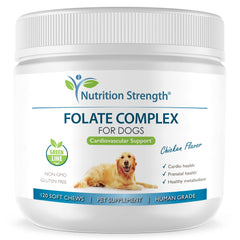 Nutrition Strength Acide folique pour chiens, emballage bouteille, apport quotidien pratique.