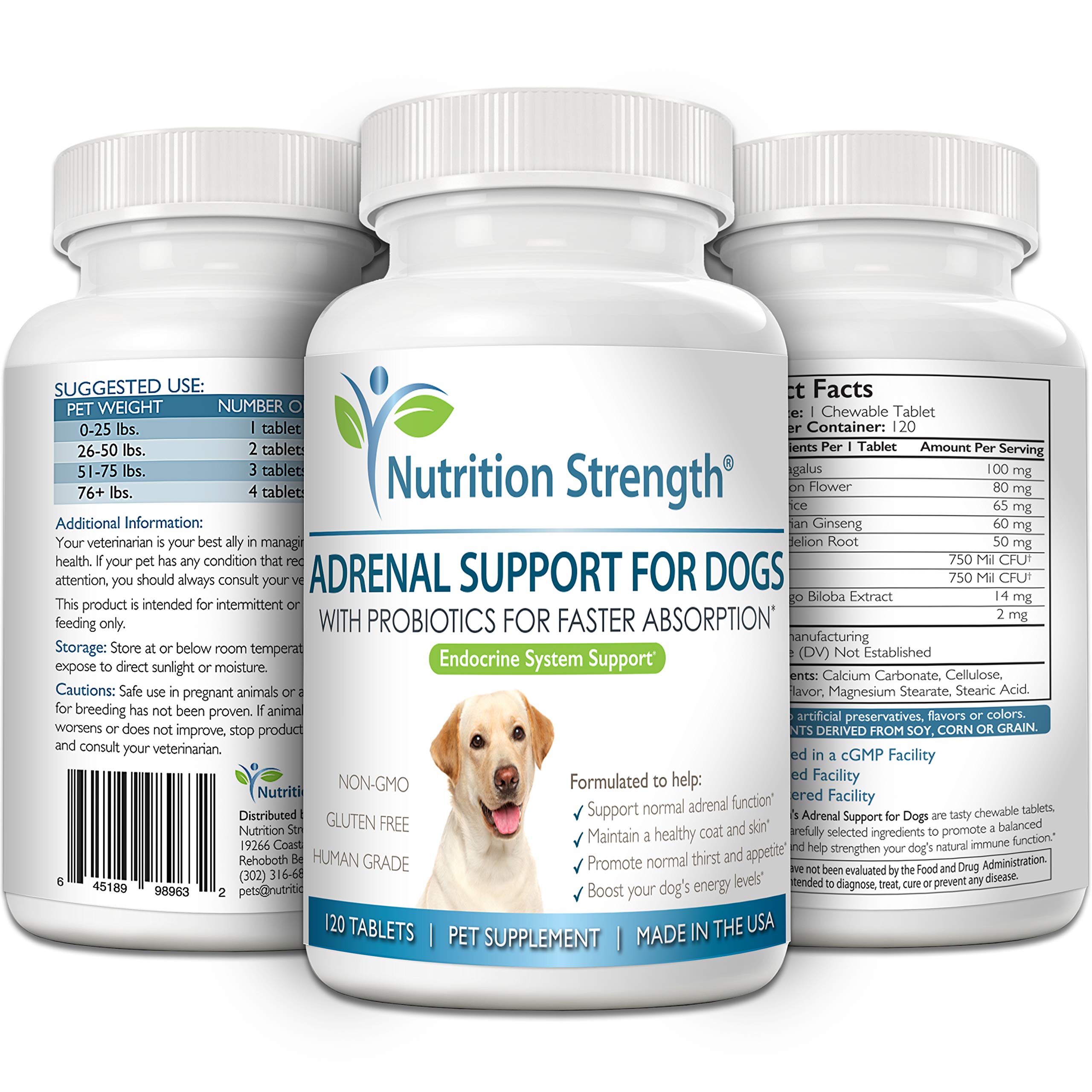 Nutrition Strength Adrenal Support peut aider l'appétit et l'hydratation canine.
