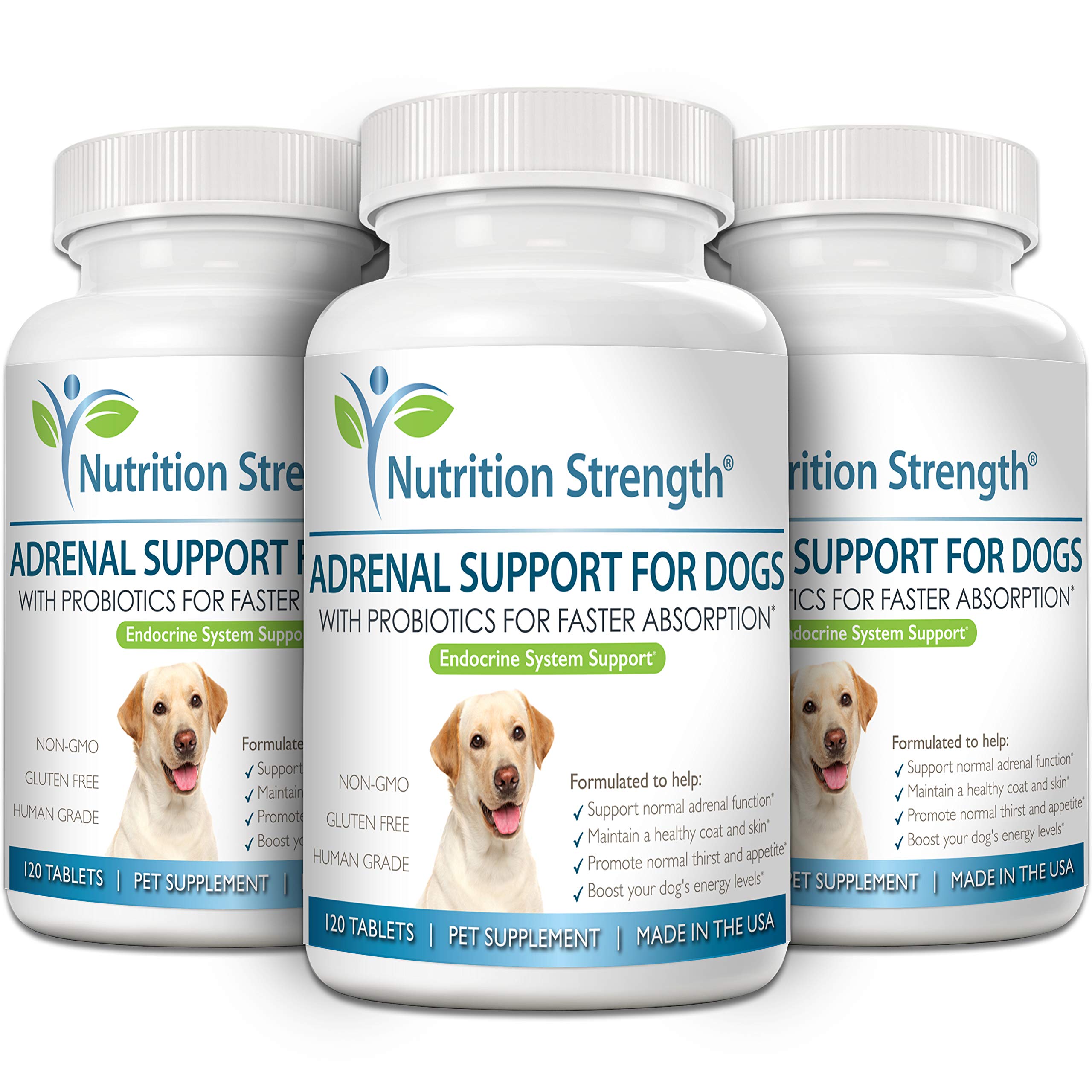 Nutrition Strength Adrenal Support, probiotiques pour digestion et immunité.