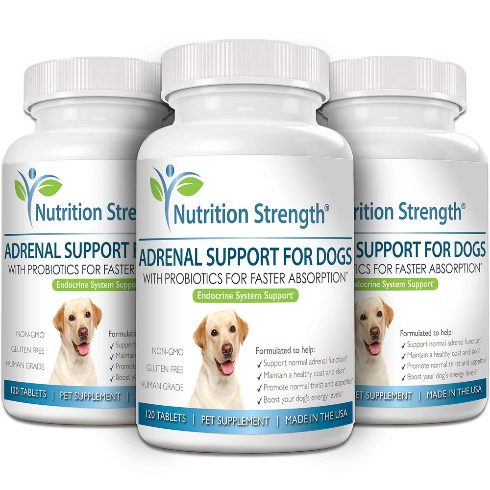 Nutrition Strength Adrenal Support, probiotiques pour digestion et immunité.