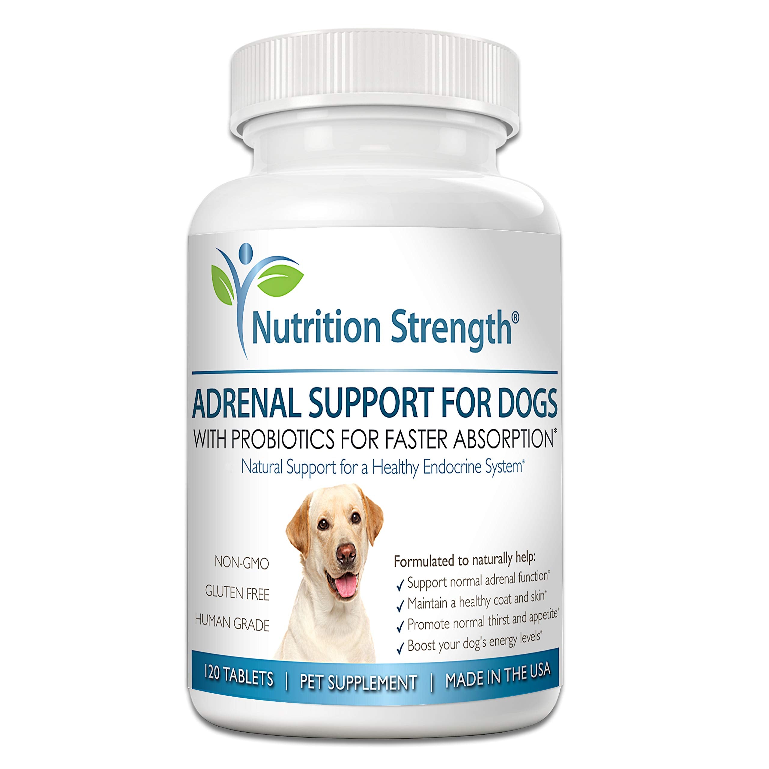 Nutrition Strength Adrenal Support, texture et goût agréables pour l'utilisation quotidienne.
