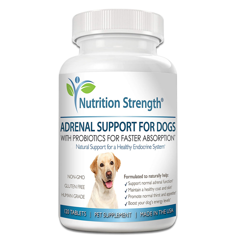 Nutrition Strength Adrenal Support, texture et goût agréables pour l'utilisation quotidienne.