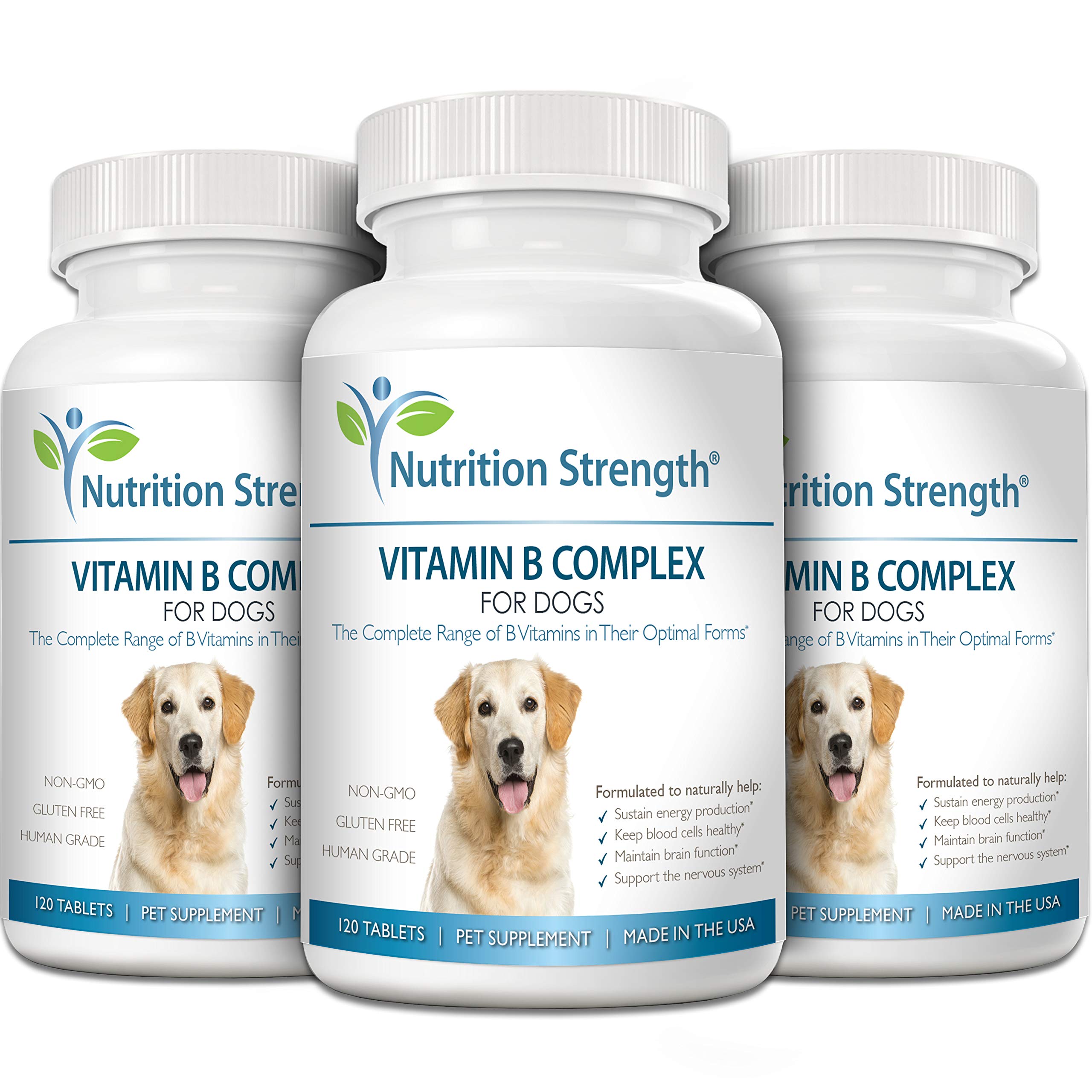 Nutrition Strength B – amélioration possible des globules rouges et hemoglobine chien
