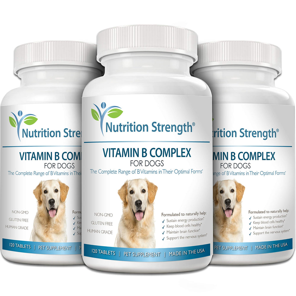 Nutrition Strength B – amélioration possible des globules rouges et hemoglobine chien