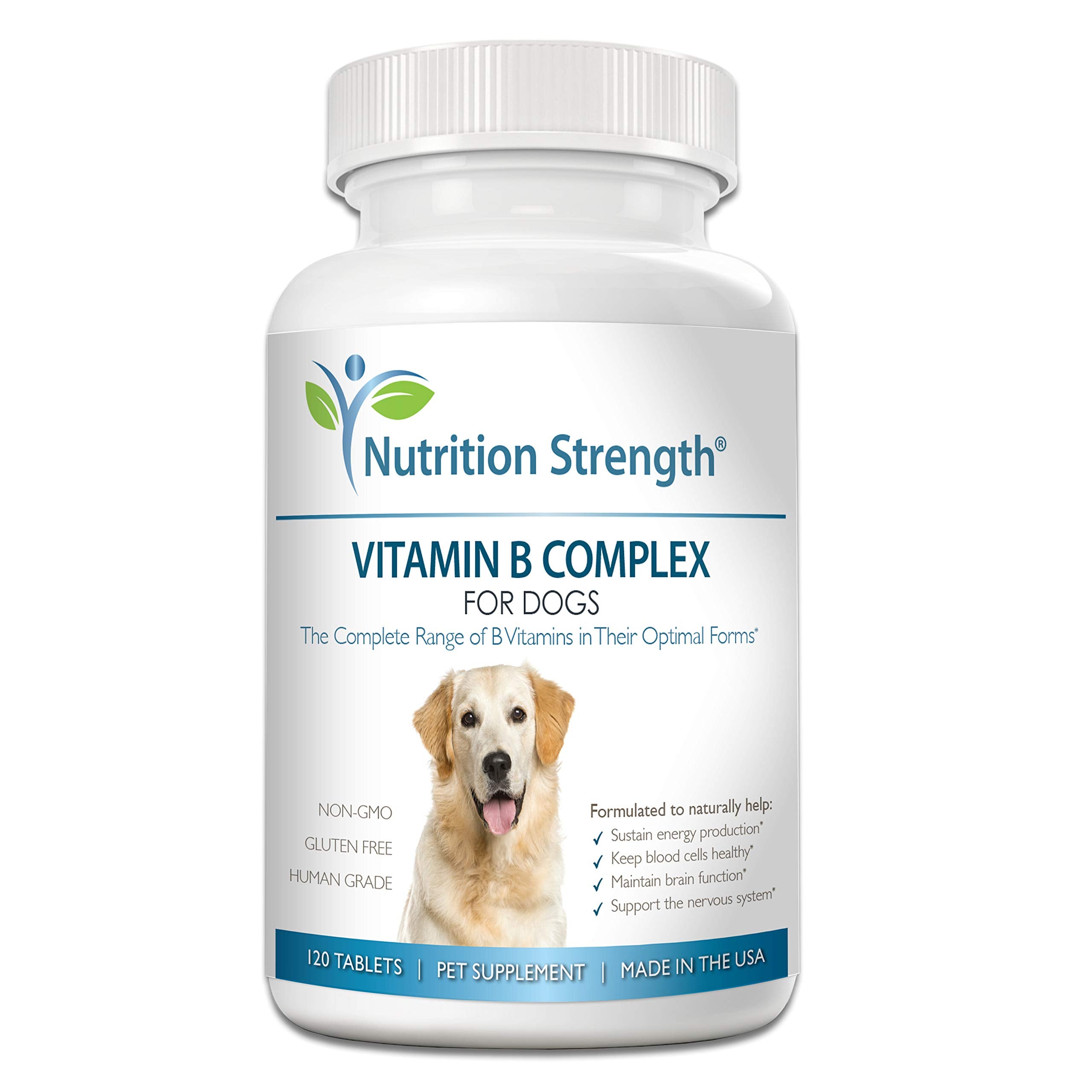 Nutrition Strength – tablettes masticables B pour chien, énergie et bien-être