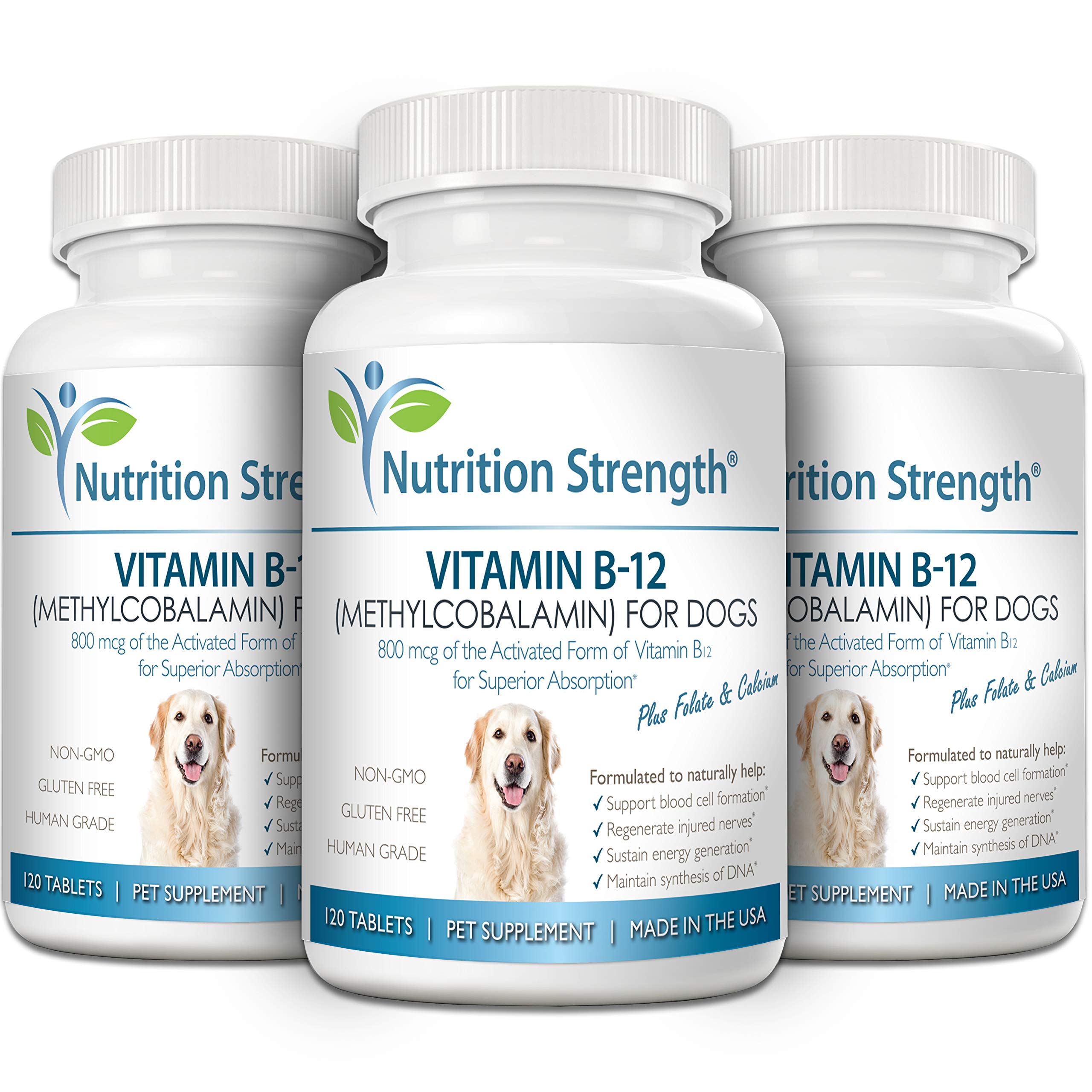 Nutrition Strength B12 et acide folique pour chien, favorise la synthèse d'ADN.