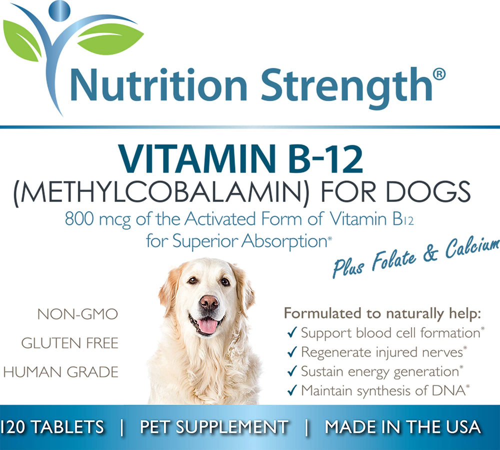 Nutrition Strength comprimés B12 pour chien, complément quotidien pratique.