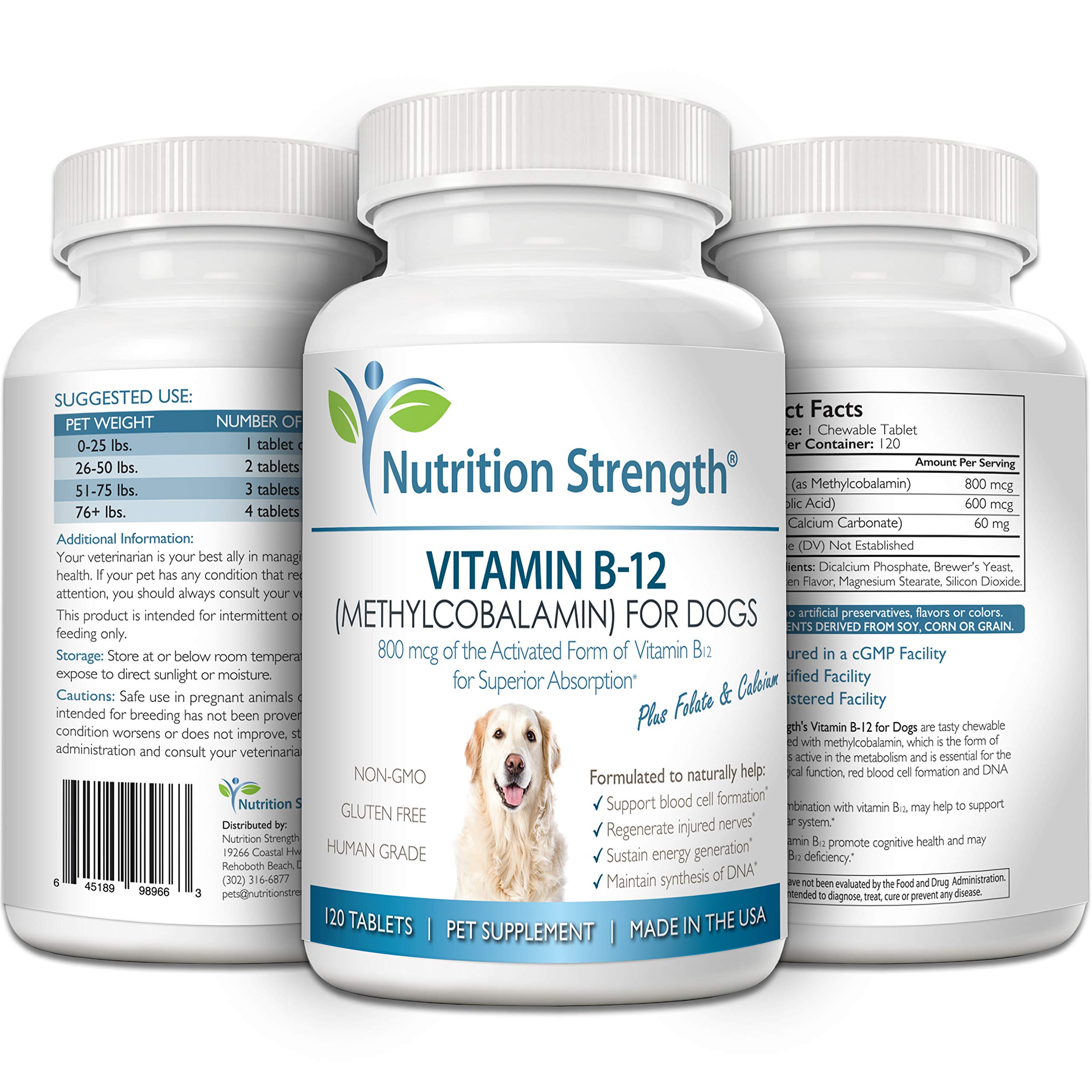 Nutrition Strength B12 et système nerveux chien, aide à la fonction nerveuse.