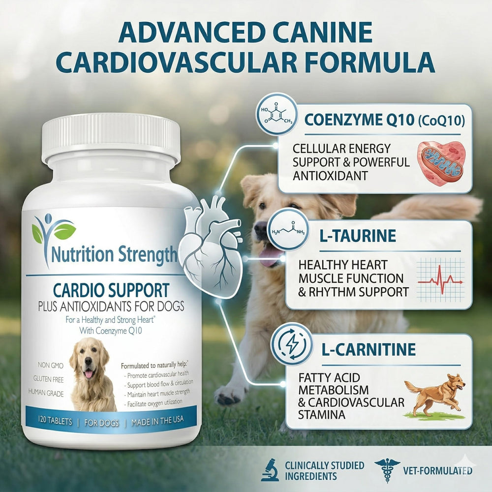 Comprimés à mâcher Nutrition Strength Cardio Support pour chiens, faciles à administrer.