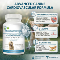 Comprimés à mâcher Nutrition Strength Cardio Support pour chiens, faciles à administrer.