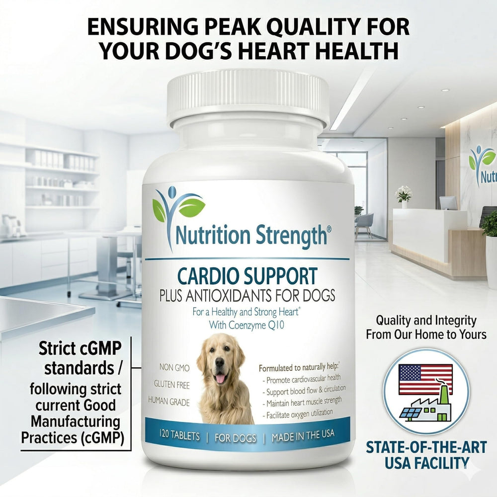 Emballage clair et étiquette détaillée du produit Nutrition Strength.