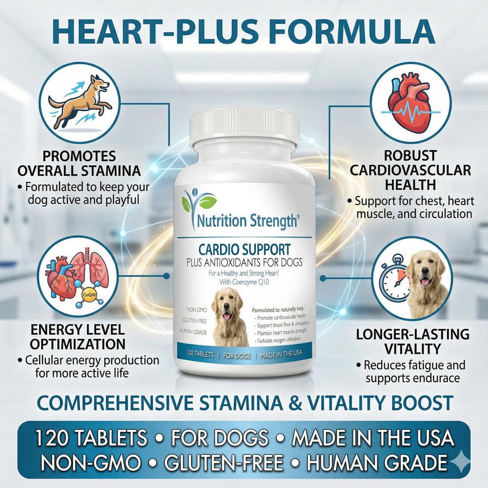 Ingrédients clés : CoQ10 et vitamine E, antioxydants pour les cellules cardiaques.