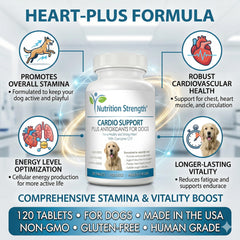 Ingrédients clés : CoQ10 et vitamine E, antioxydants pour les cellules cardiaques.