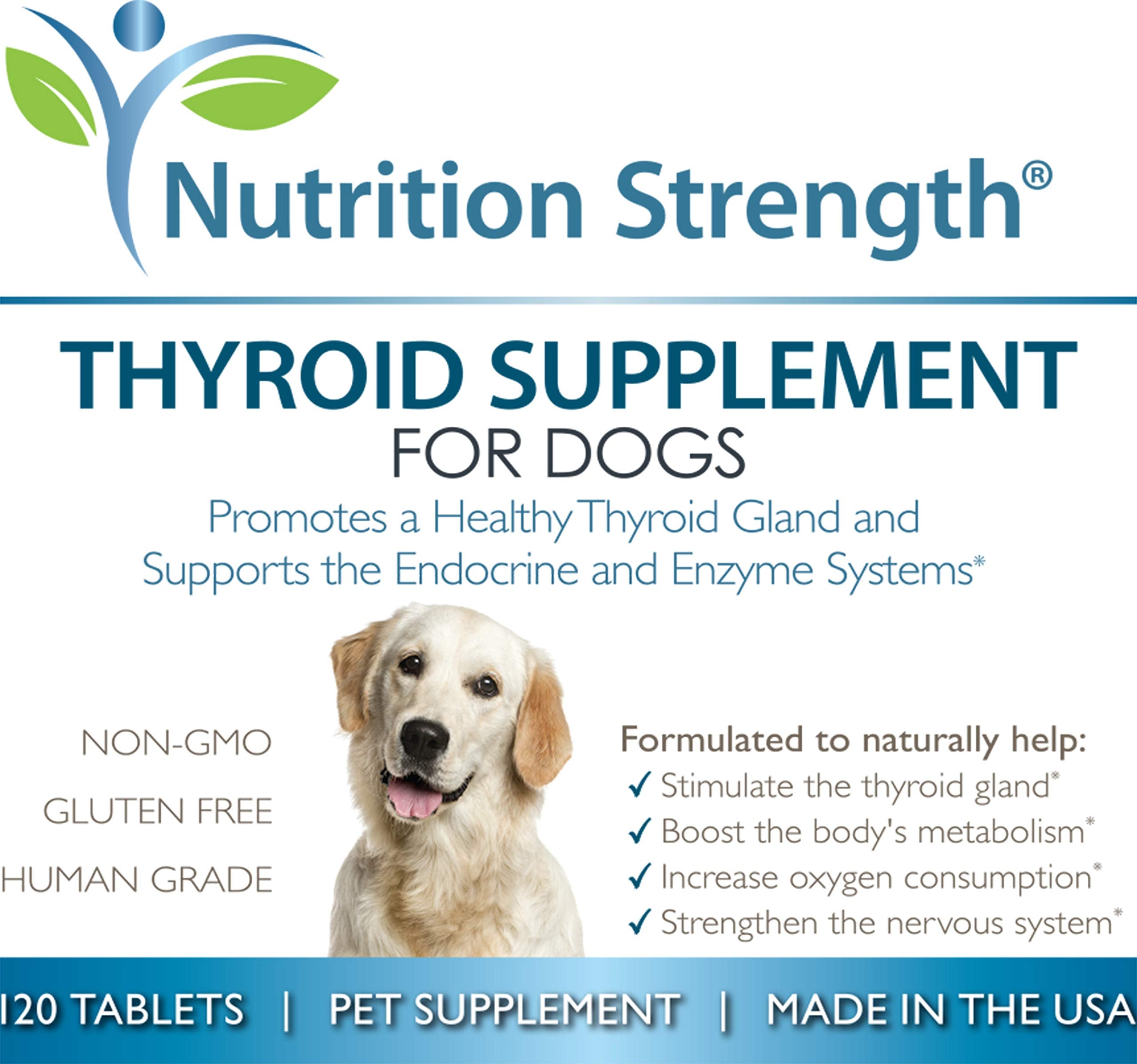 Nutrition Strength chien actif après prise des comprimés thyroïde