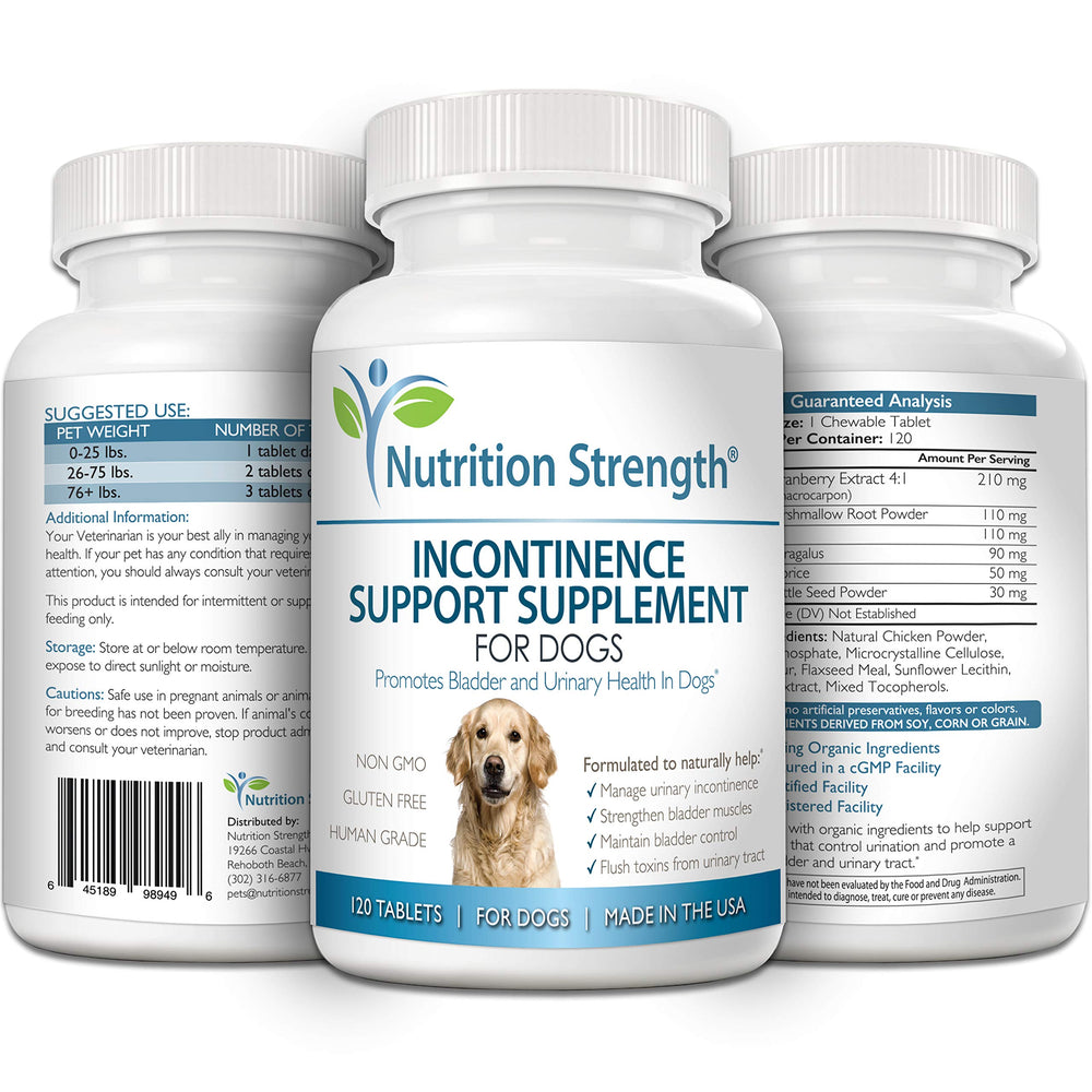 Le chien de tout âge peut profiter du complément Nutrition Strength au quotidien.