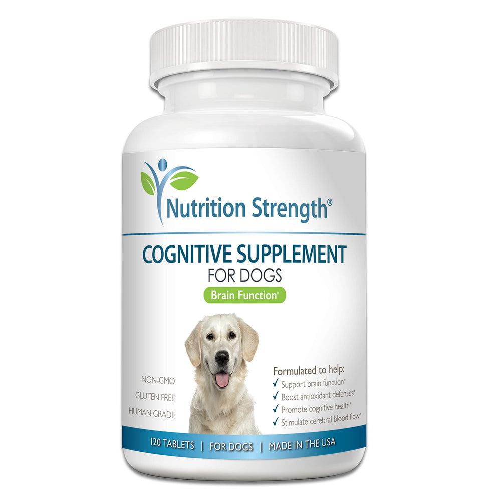 Nutrition Strength comprimés à croquer en bouteille pour chien, soutien cérébral potentiel.