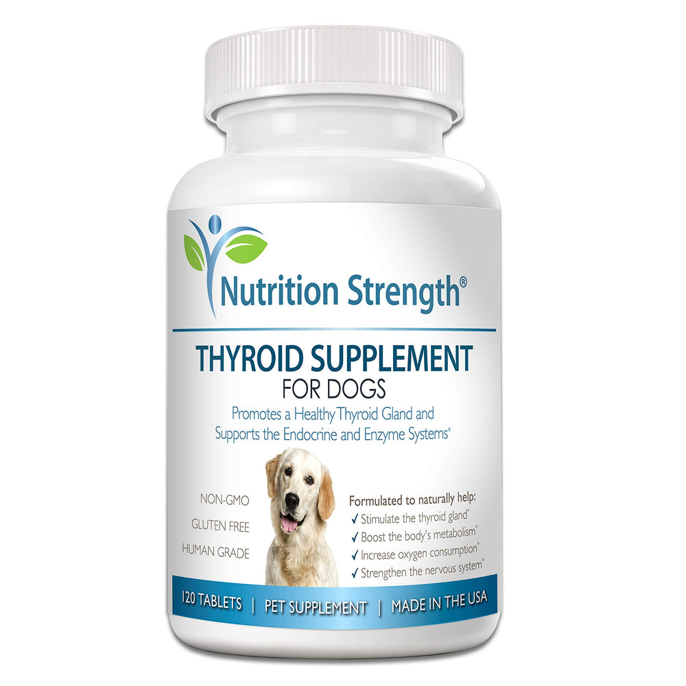 Nutrition Strength comprimés à mâcher thyroïde chien, soutien potentiel du métabolisme
