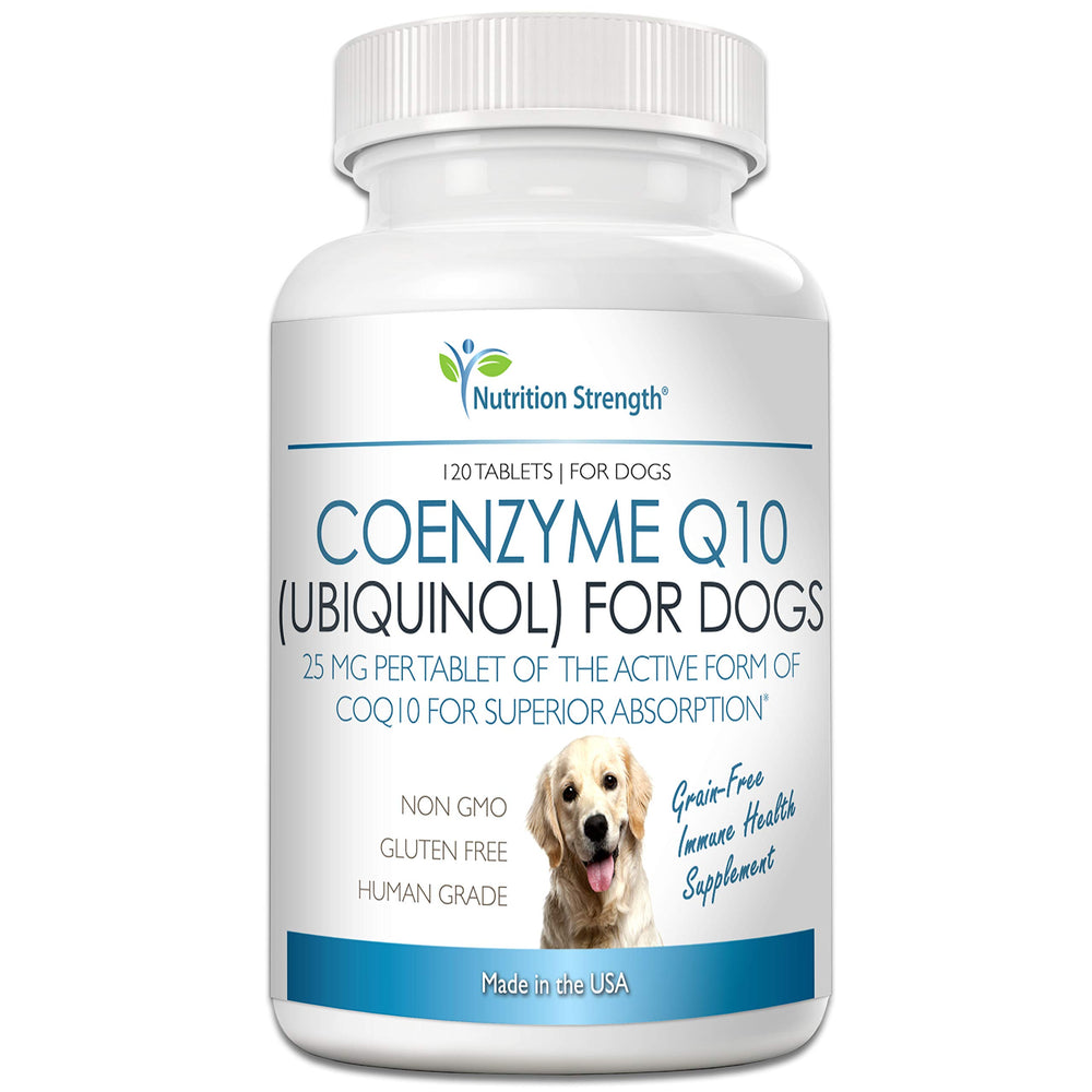 Nutrition Strength CoQ10 pour chiens — bouteille de gélules, soutien énergétique potentiel.