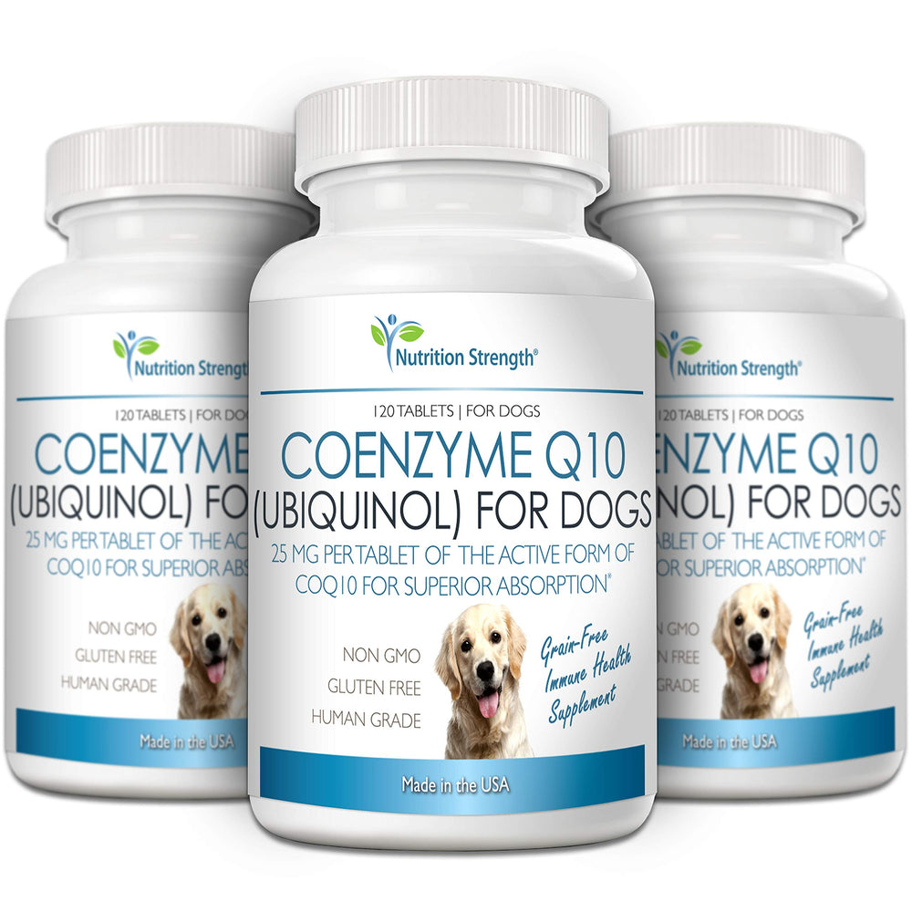Nutrition Strength CoQ10 pour chiens — close-up sur les comprimés, soutien potentiel des organes énergétiques.