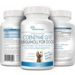 Nutrition Strength CoQ10 pour chiens — comprimés à croquer, absorption élevée et praticité.