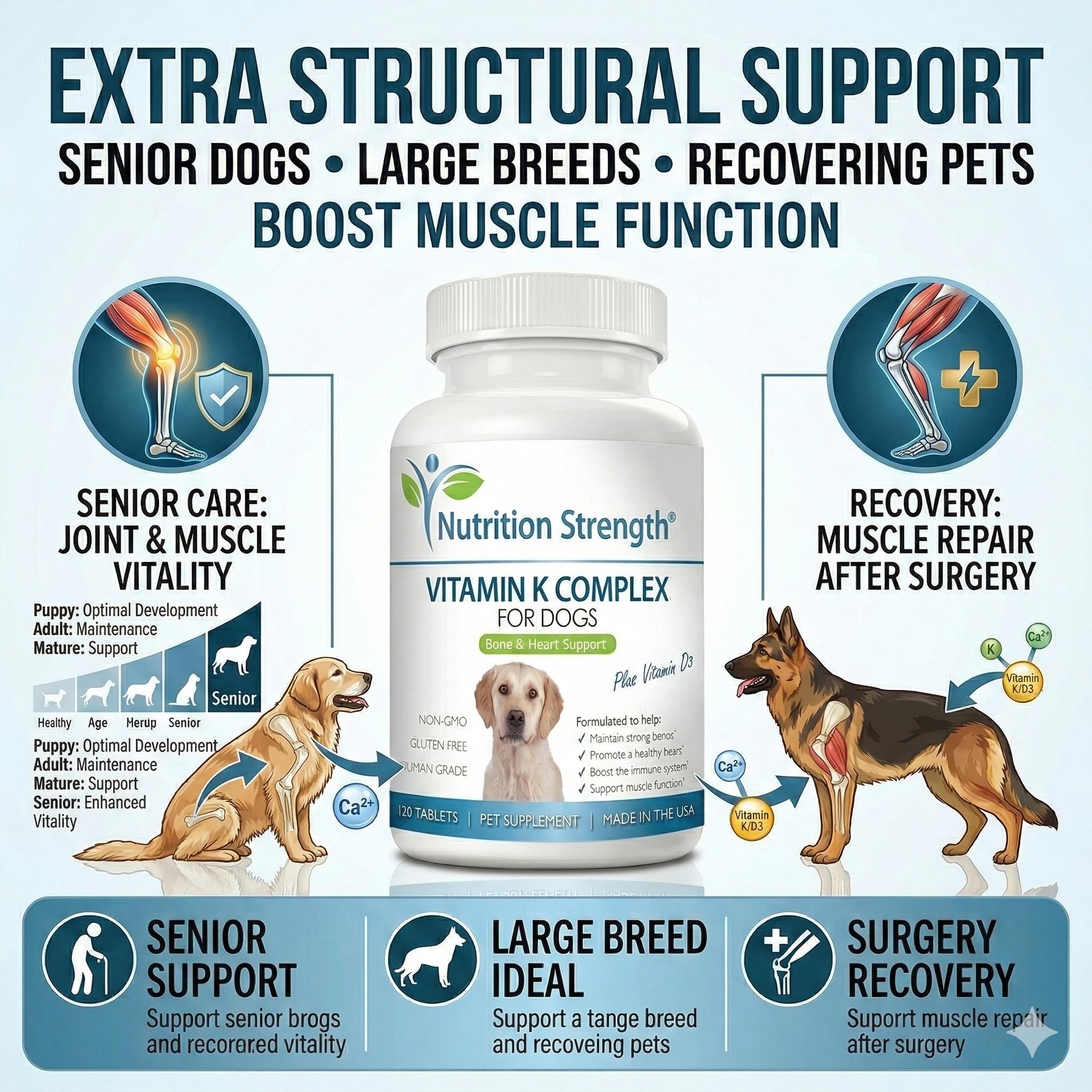 Nutrition Strength D3 pour chien – soutien immunitaire et performance musculaire potentielle.