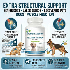 Nutrition Strength D3 pour chien – soutien immunitaire et performance musculaire potentielle.