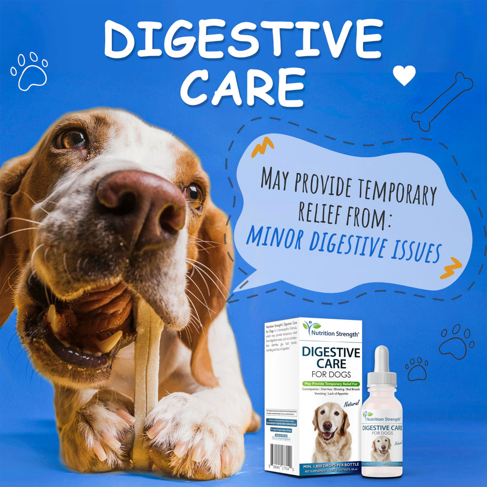 Étiquette Nutrition Strength Digestive Care montrant des ingrédients naturels.