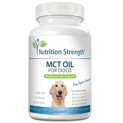 Nutrition Strength huile MCT chien – bouteille claire; soutien peau et pelage.