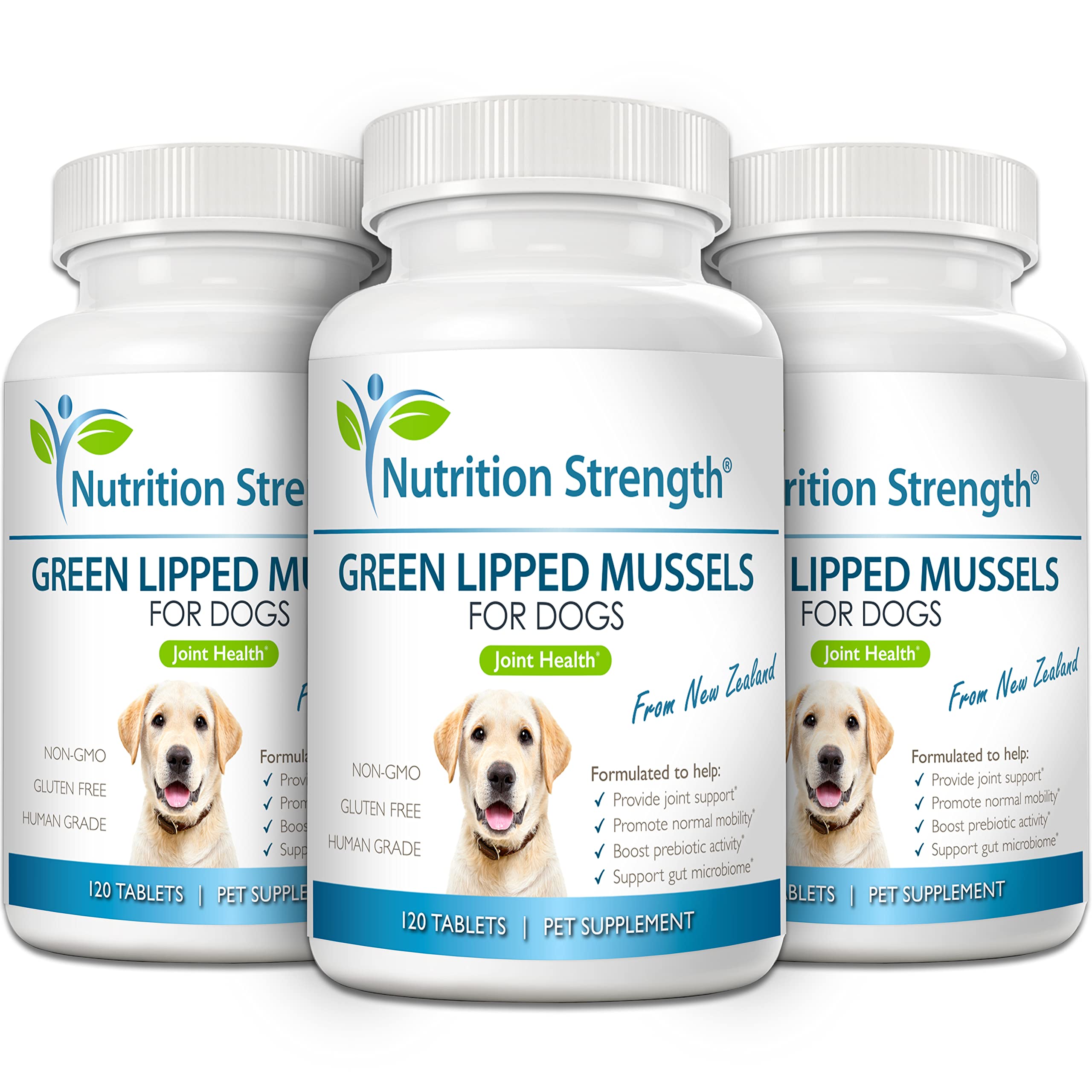 Nutrition Strength moules vertes pour chiens, microbiome intestinal potentiellement soutenu.