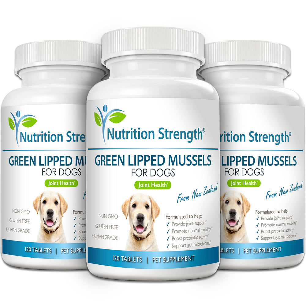 Nutrition Strength moules vertes pour chiens, microbiome intestinal potentiellement soutenu.