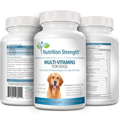 Nutrition Strength – Multivitamines chien toutes tailles, formulation pratique pour routine quotidienne.