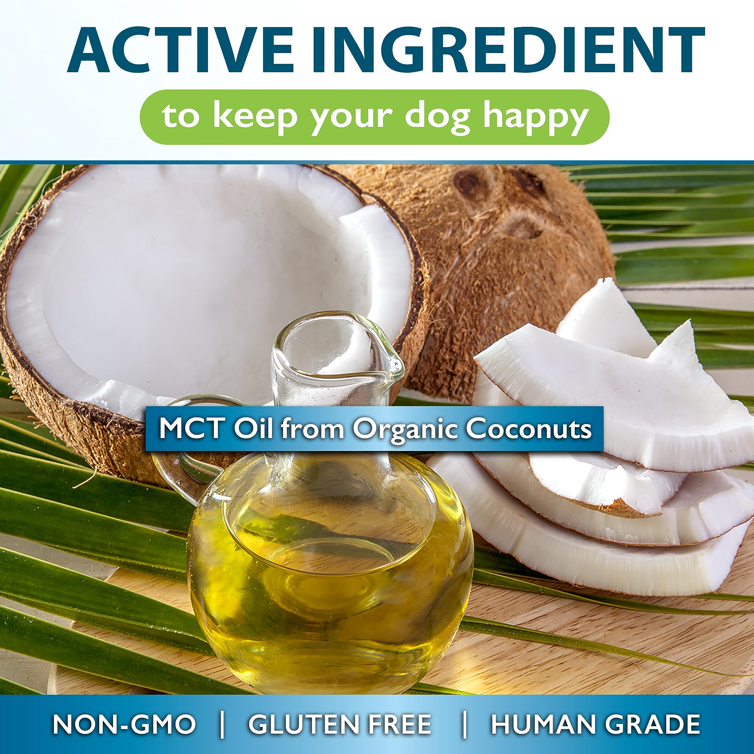 Nutrition Strength MCT chien – protection peau et poil du chien.