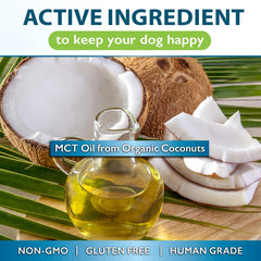 Nutrition Strength MCT chien – protection peau et poil du chien.